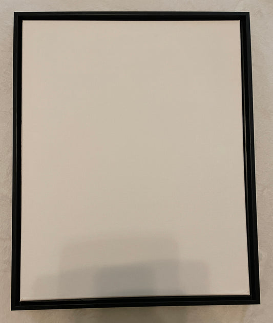 Floating Frame 16x20 with artwork purchase