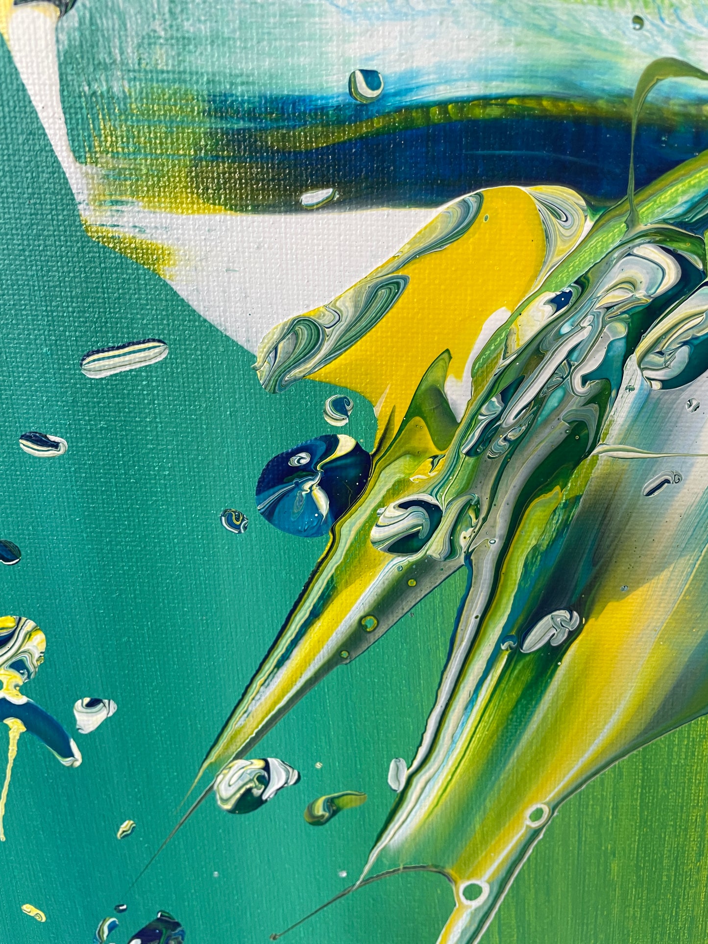 Stingray 16x20